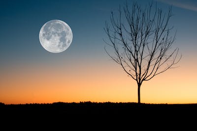 اگر چاند اچانک غائب ہو جائے تو کیا ہوگا What if the moon suddenly disappears?