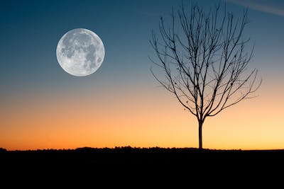 اگر چاند اچانک غائب ہو جائے تو کیا ہوگا  What if the moon suddenly disappears?
