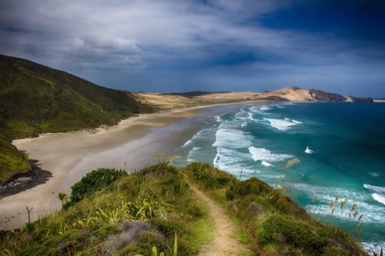 نیوزی Problems facing New Zealand’s unique ecosystemلینڈ کے نایاب ماحولیاتی نظام کو درپیش مسائل